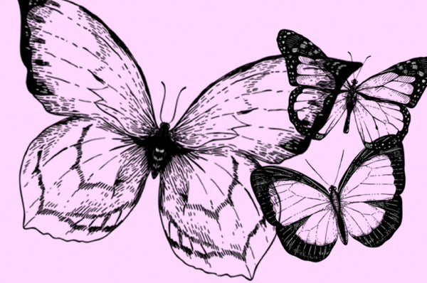 Butterflies, økologisk kaffe