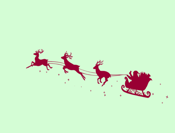 Mønsk Julekaffe 2025, økologisk kaffe